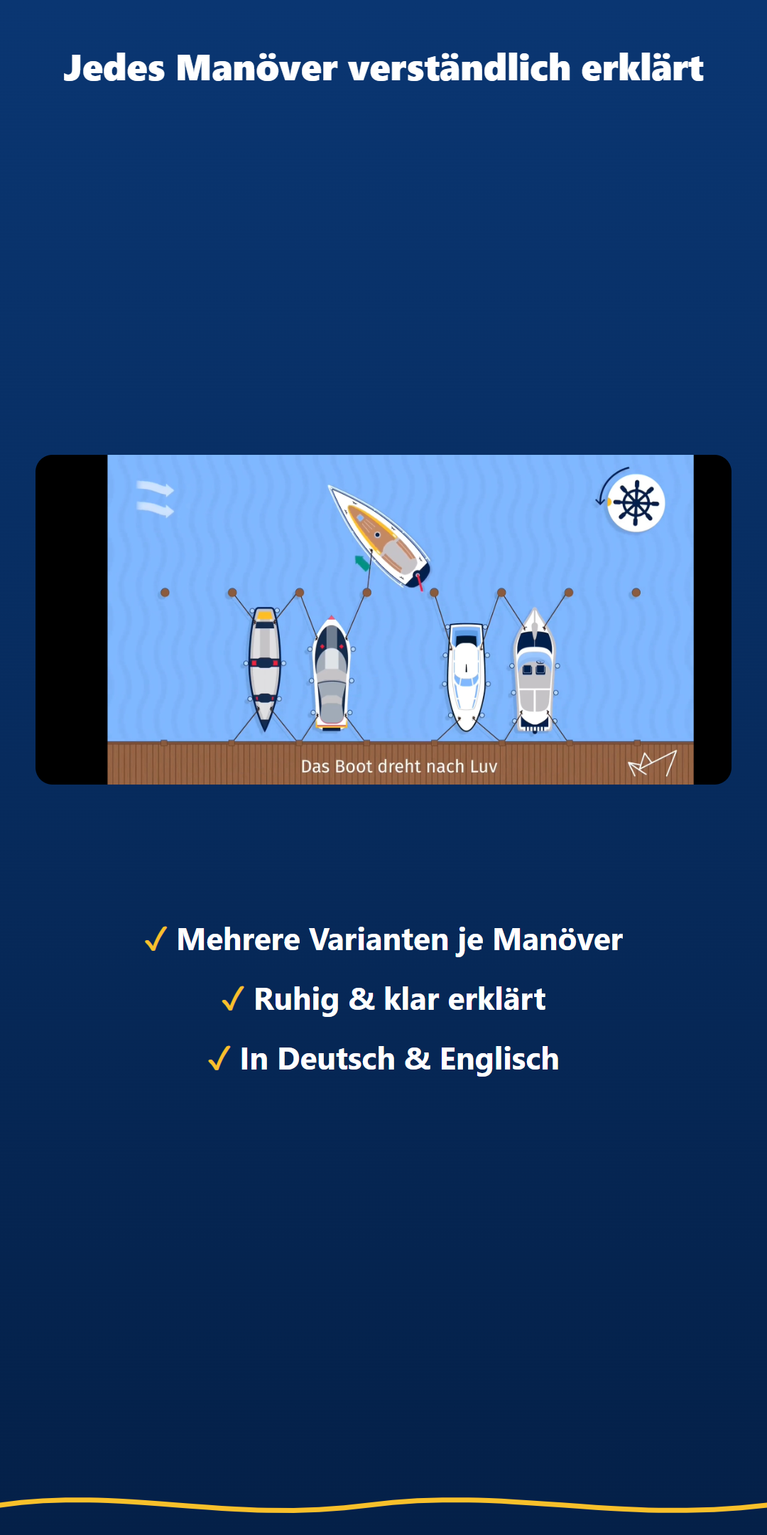 Video-Ansicht